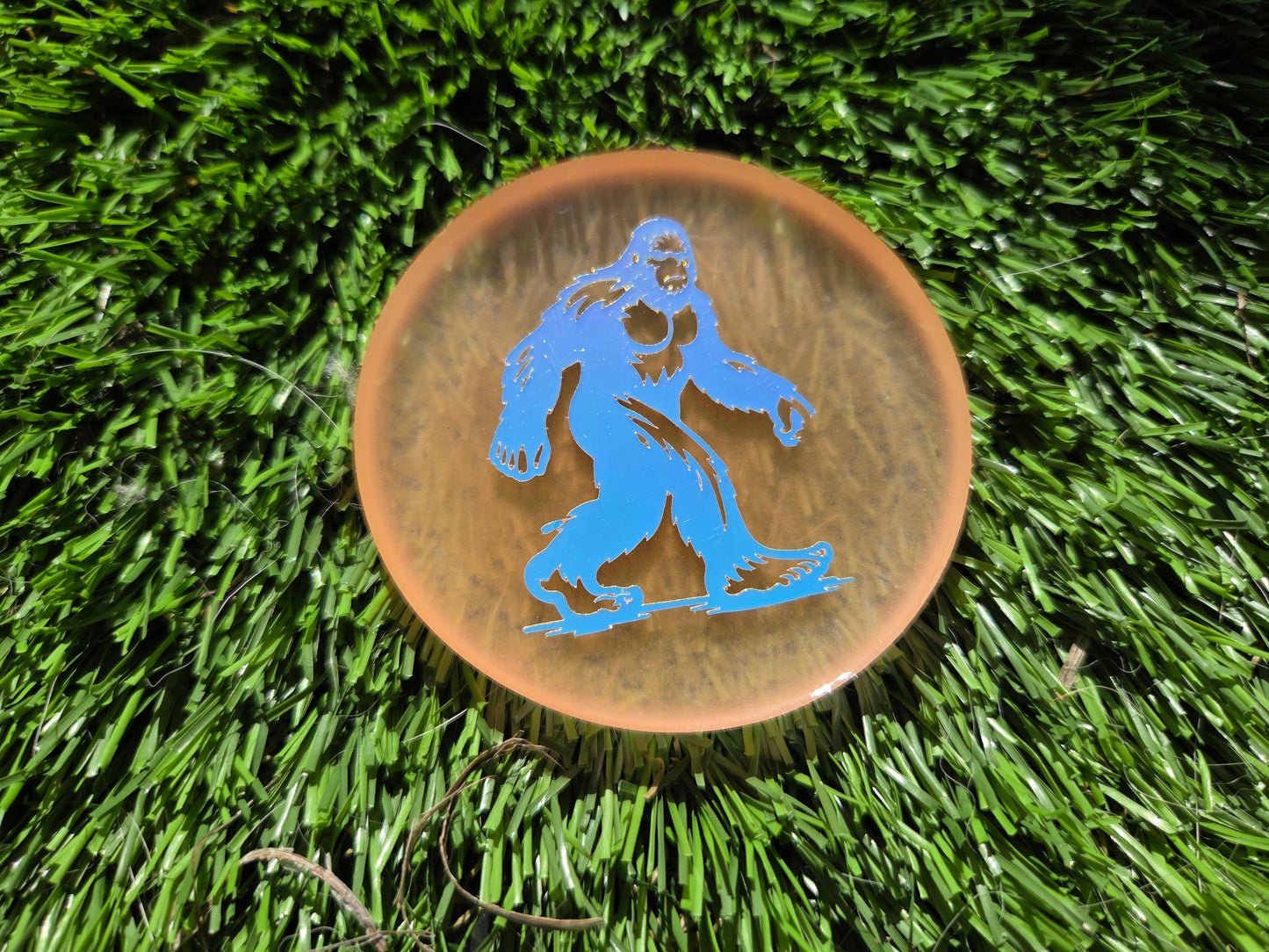 Big Foot / Glow in the Dark