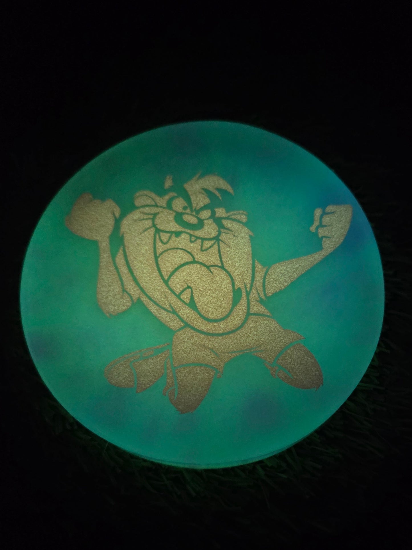 Looney Tunes Taz Gone Wild / Double Sided / Glow in the Dark