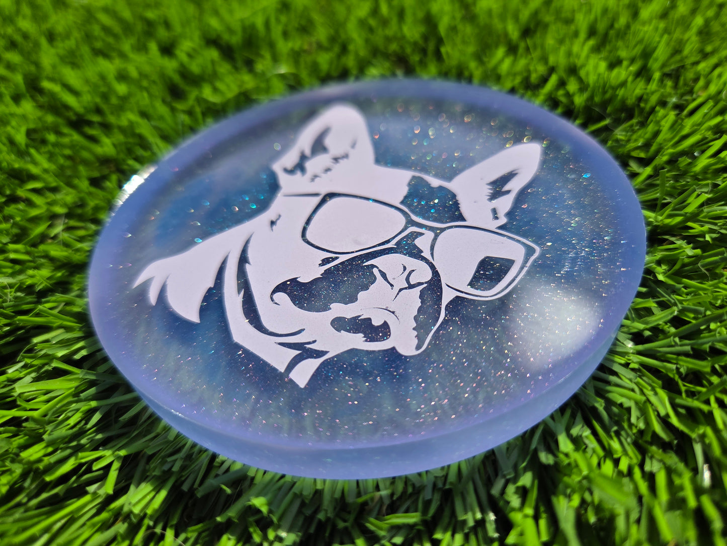 Periwinkle Cool Dawg Frenchie Double Glow Medium Mini