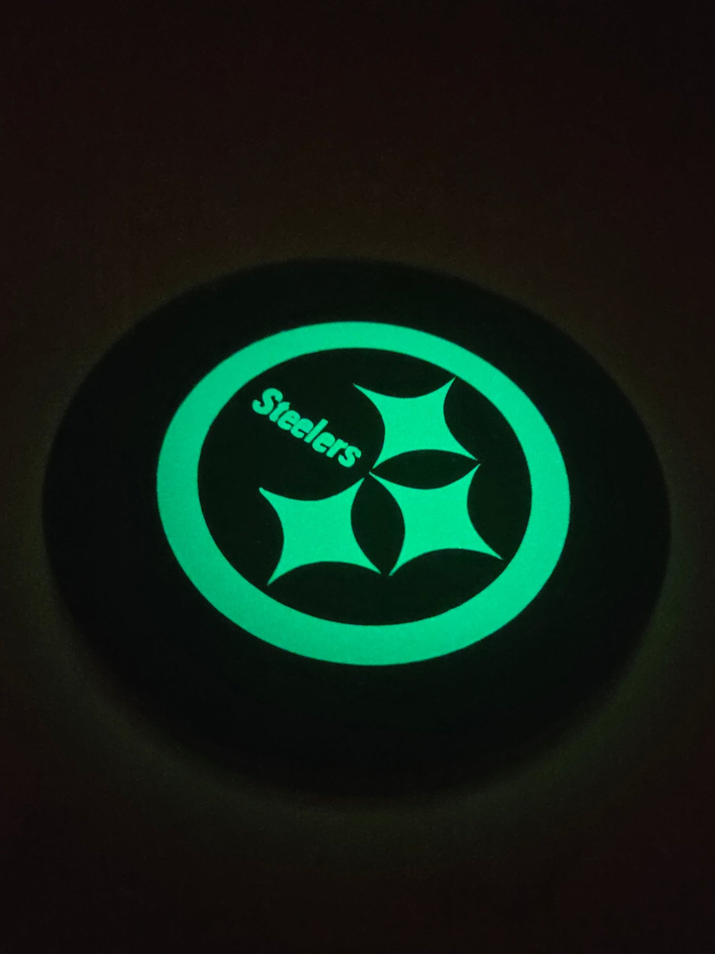 Steelers Football / Glow in the Dark Vinyl