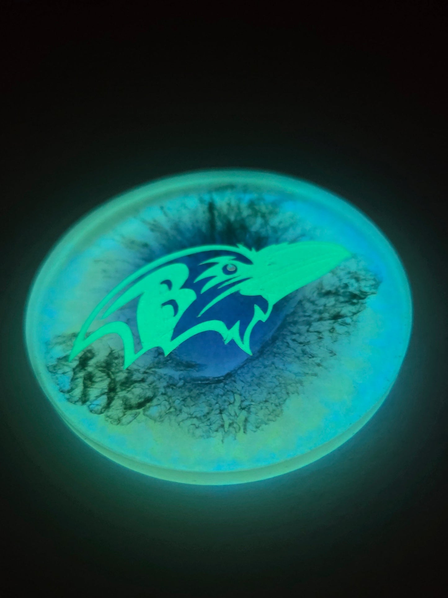 Baltimore Ravens / Glow in the Dark